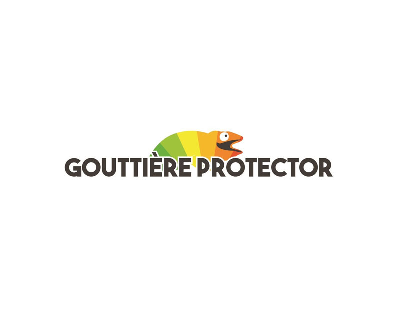 Pourquoi installer une boîte à eau à ma gouttière sur ma maison de Lunel?